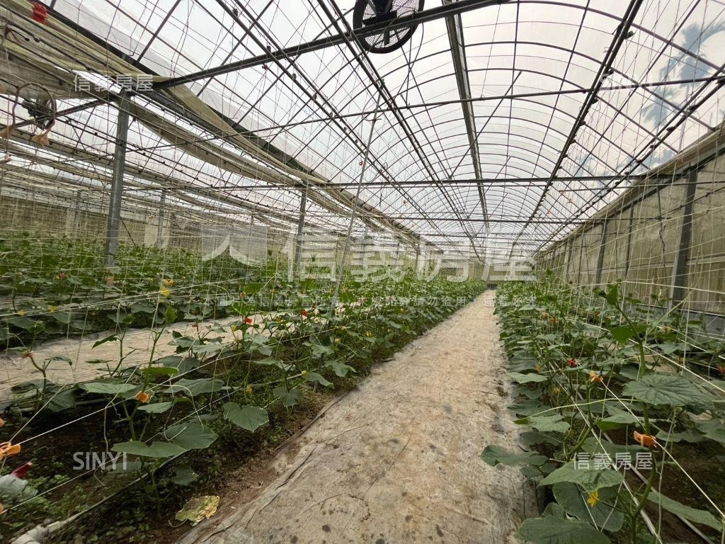 南投竹山溫室果園之二房屋室內格局與周邊環境