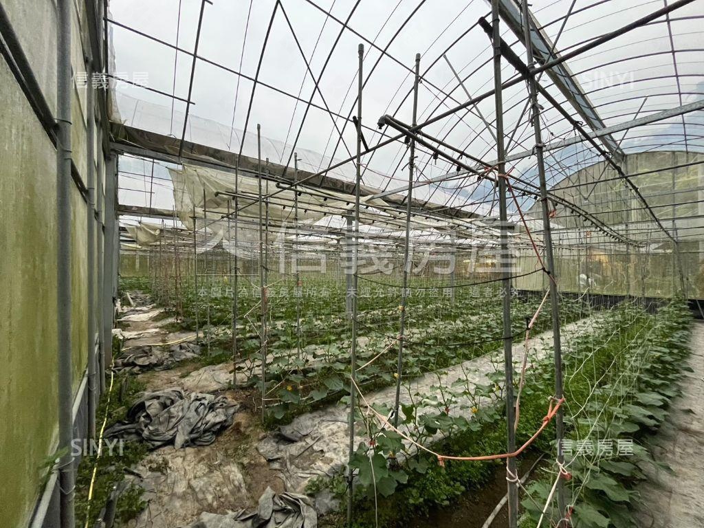 南投竹山溫室果園之二房屋室內格局與周邊環境