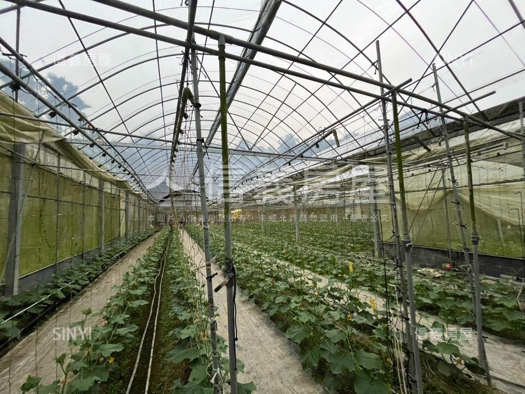 南投竹山溫室果園之二房屋室內格局與周邊環境