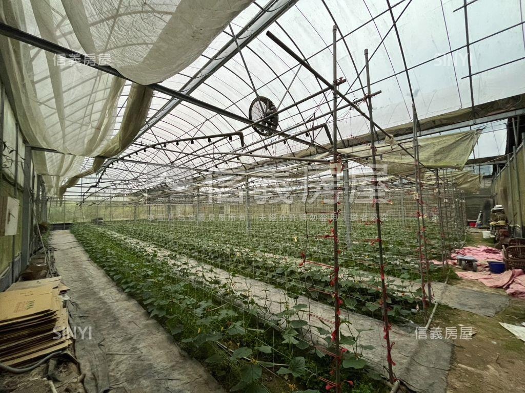 南投竹山溫室果園之二房屋室內格局與周邊環境