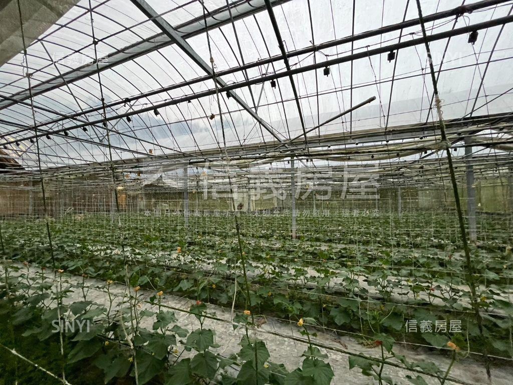 南投竹山溫室果園之二房屋室內格局與周邊環境