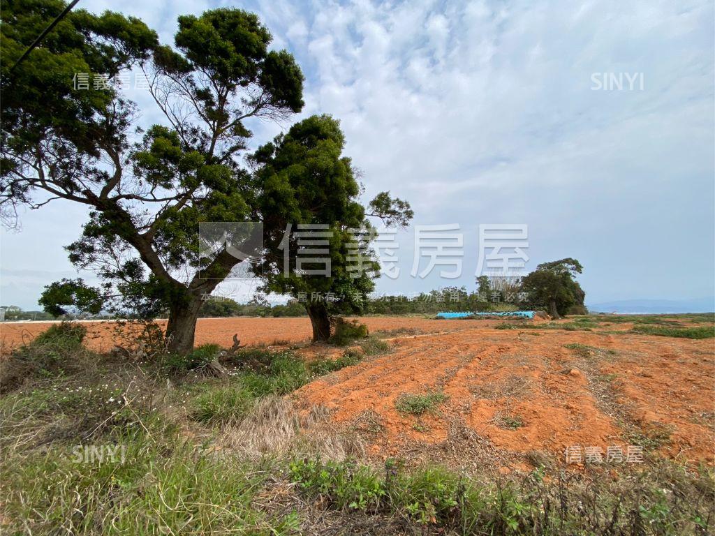 近台積電都計內臨路農地房屋室內格局與周邊環境