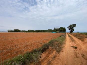 近台積電都計內臨路農地
