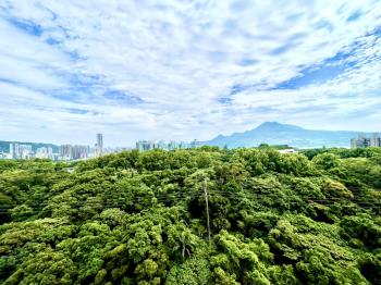 淡江柏園美景高樓三房車位