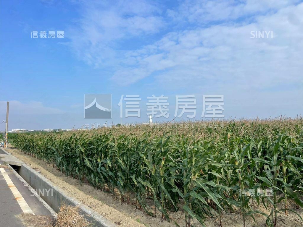 西港區八分段農地房屋室內格局與周邊環境