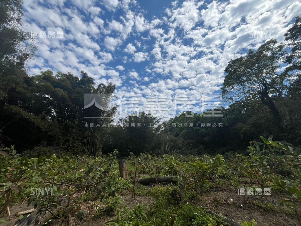 大溪信義段生態農地之二房屋室內格局與周邊環境
