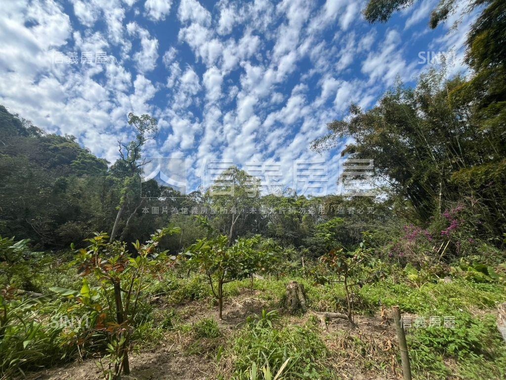 大溪信義段生態農地之二房屋室內格局與周邊環境