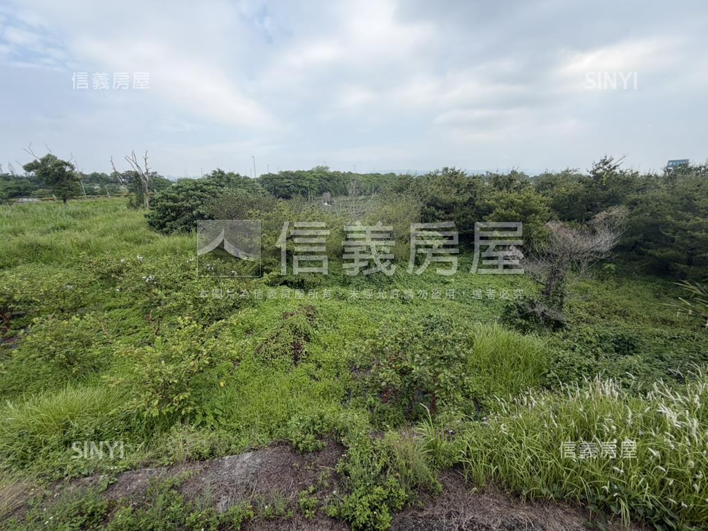 名間土地農地房屋室內格局與周邊環境