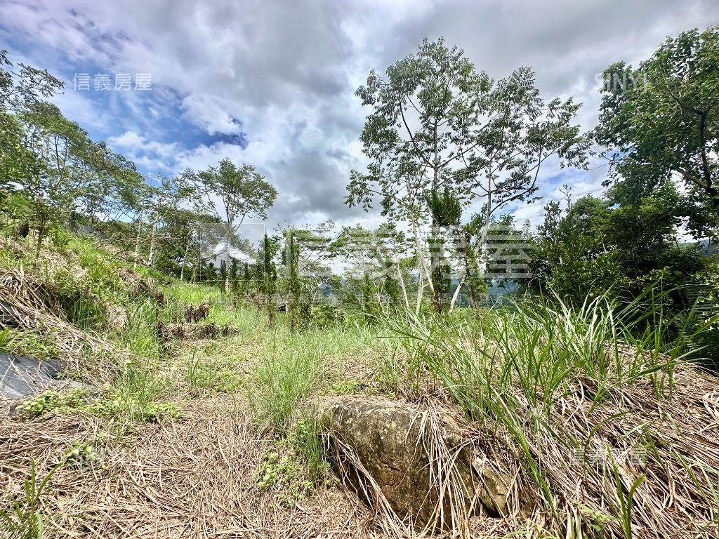 新社土地Ｅ房屋室內格局與周邊環境