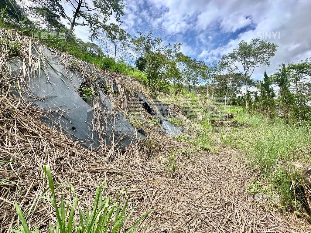 新社土地Ｅ房屋室內格局與周邊環境