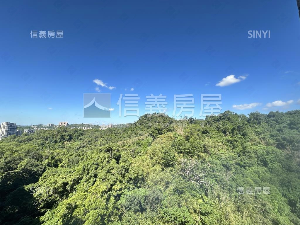 稀有屋況佳！政大豪華大戶房屋室內格局與周邊環境