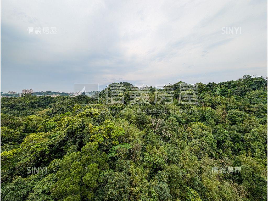 稀有屋況佳！政大豪華大戶房屋室內格局與周邊環境