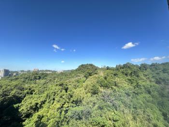 稀有屋況佳！政大豪華大戶