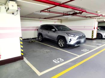 新世界近１０１坡平車位