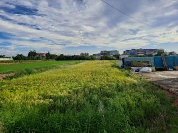 觀音土地