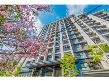 專任中國醫大視野兩房平車