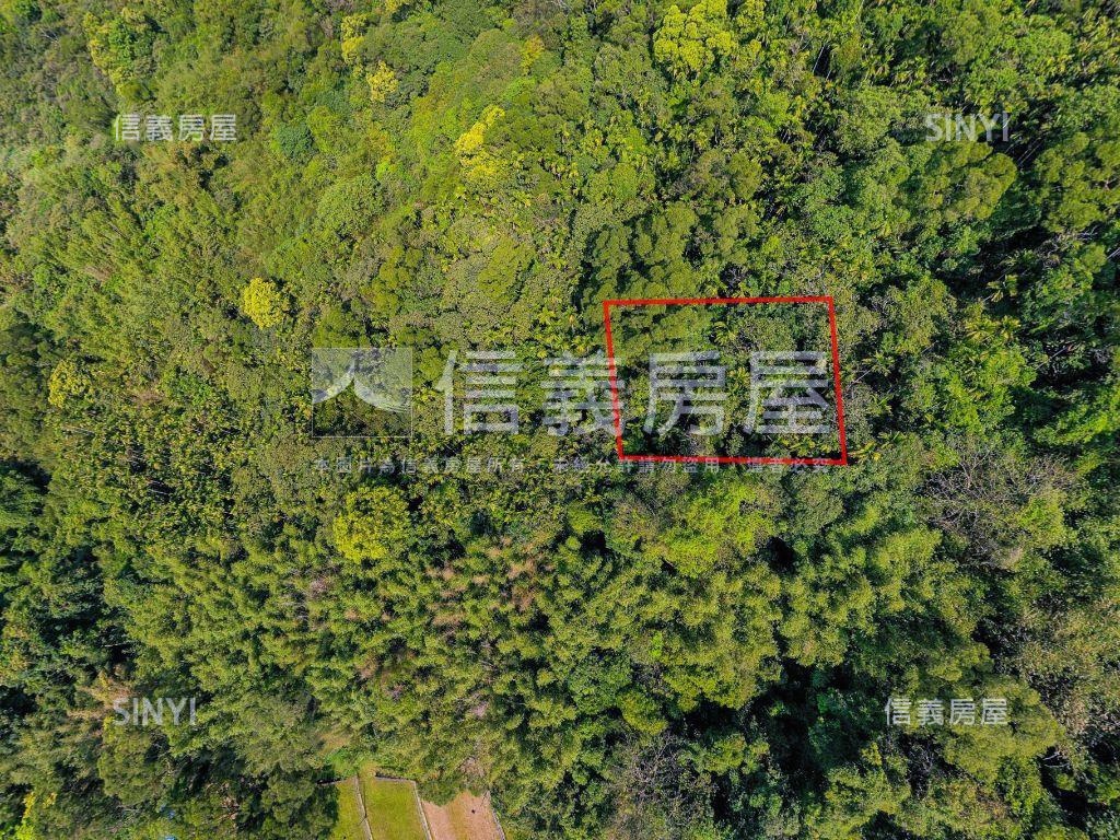 內湖大湖街土地房屋室內格局與周邊環境