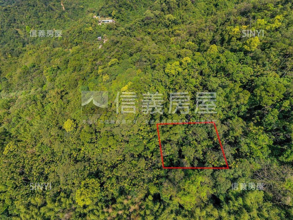 內湖大湖街土地房屋室內格局與周邊環境