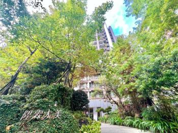 陞霖太美次頂樓美屋兩房