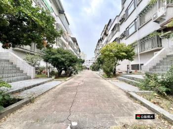 國華街邊間美透天