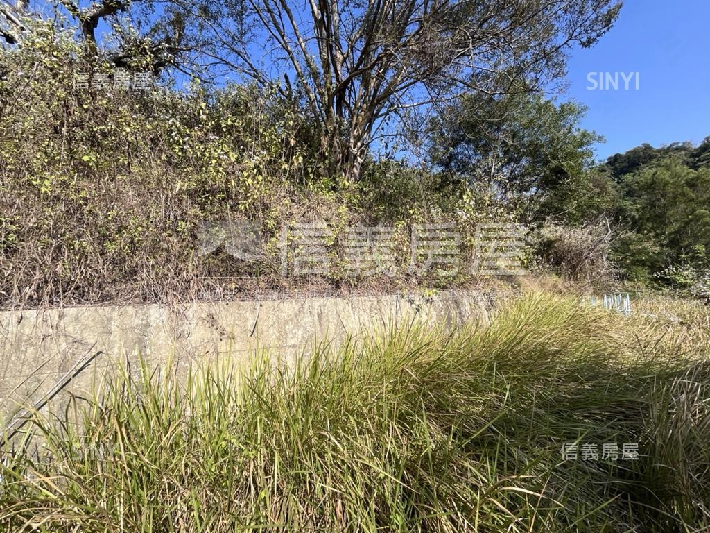 霧峰桐林逸園土地房屋室內格局與周邊環境