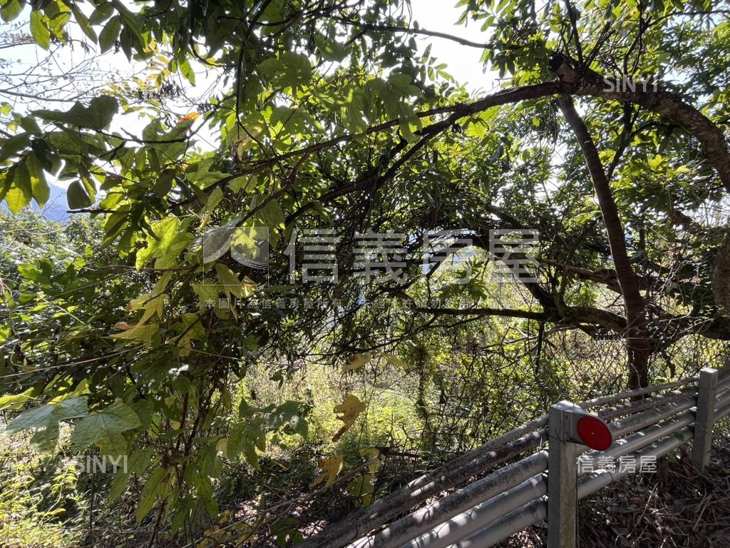 霧峰桐林逸園土地房屋室內格局與周邊環境