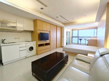 山林海山河景觀捷運美宅