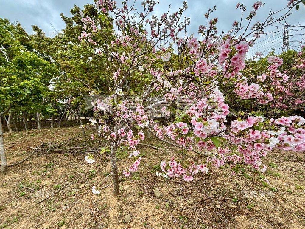 新埔平坦大面寬休閒地房屋室內格局與周邊環境