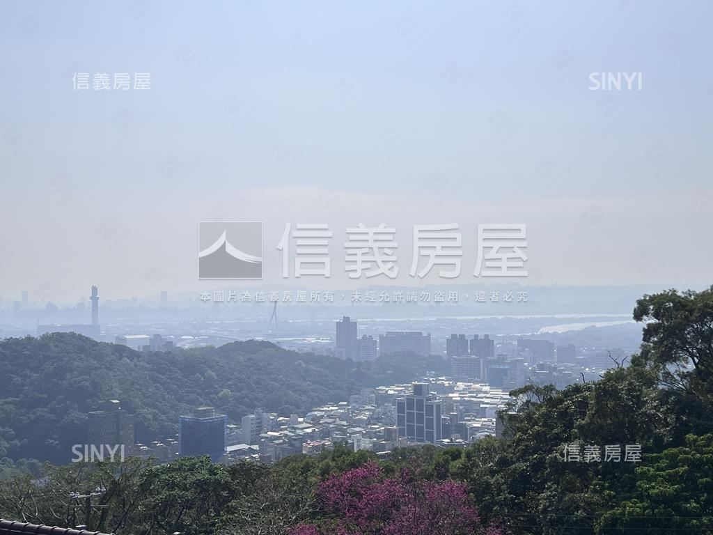 山景泳池威靈頓房屋室內格局與周邊環境