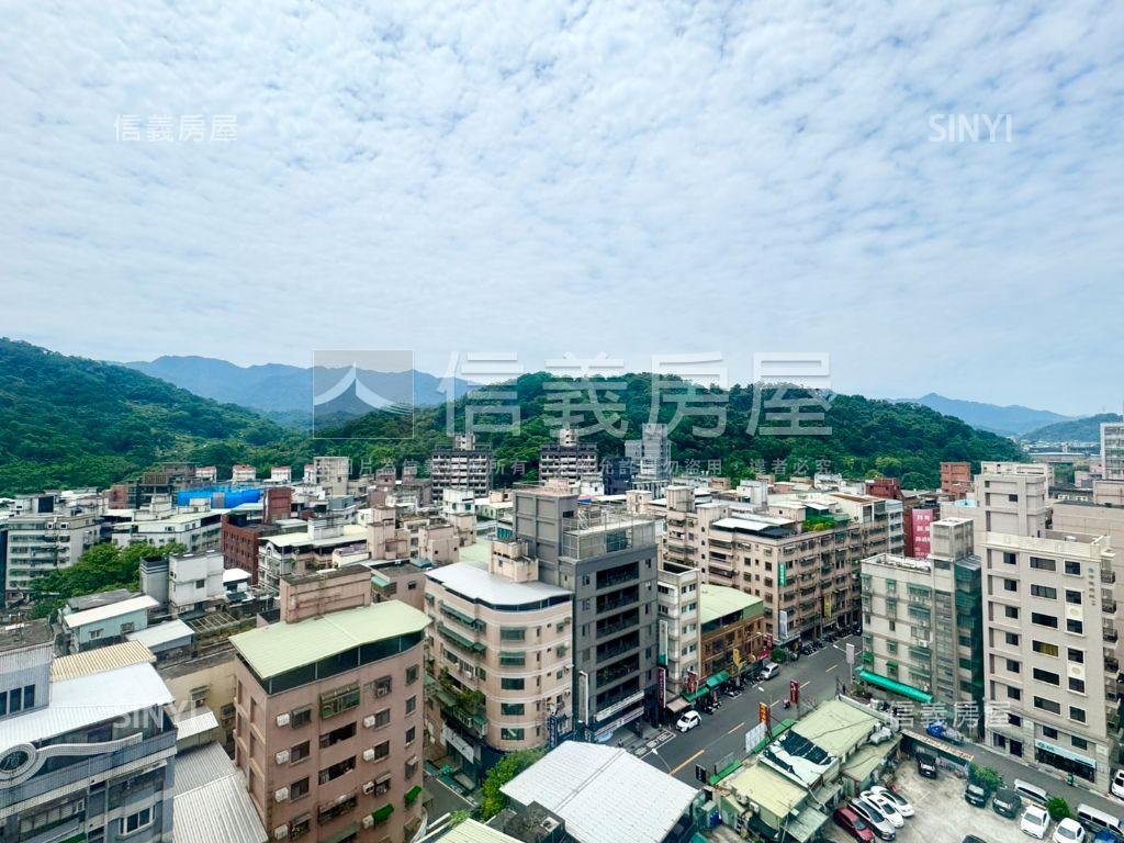 小巨人·次頂樓景觀美宅房屋室內格局與周邊環境