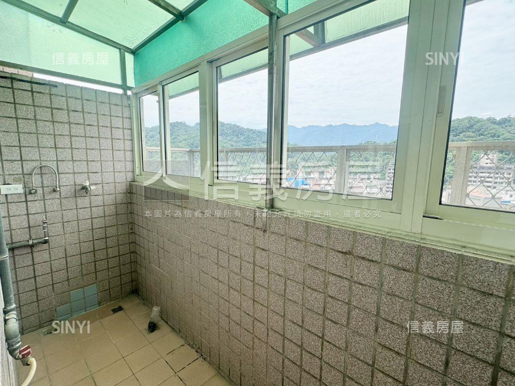 小巨人·次頂樓景觀美宅房屋室內格局與周邊環境