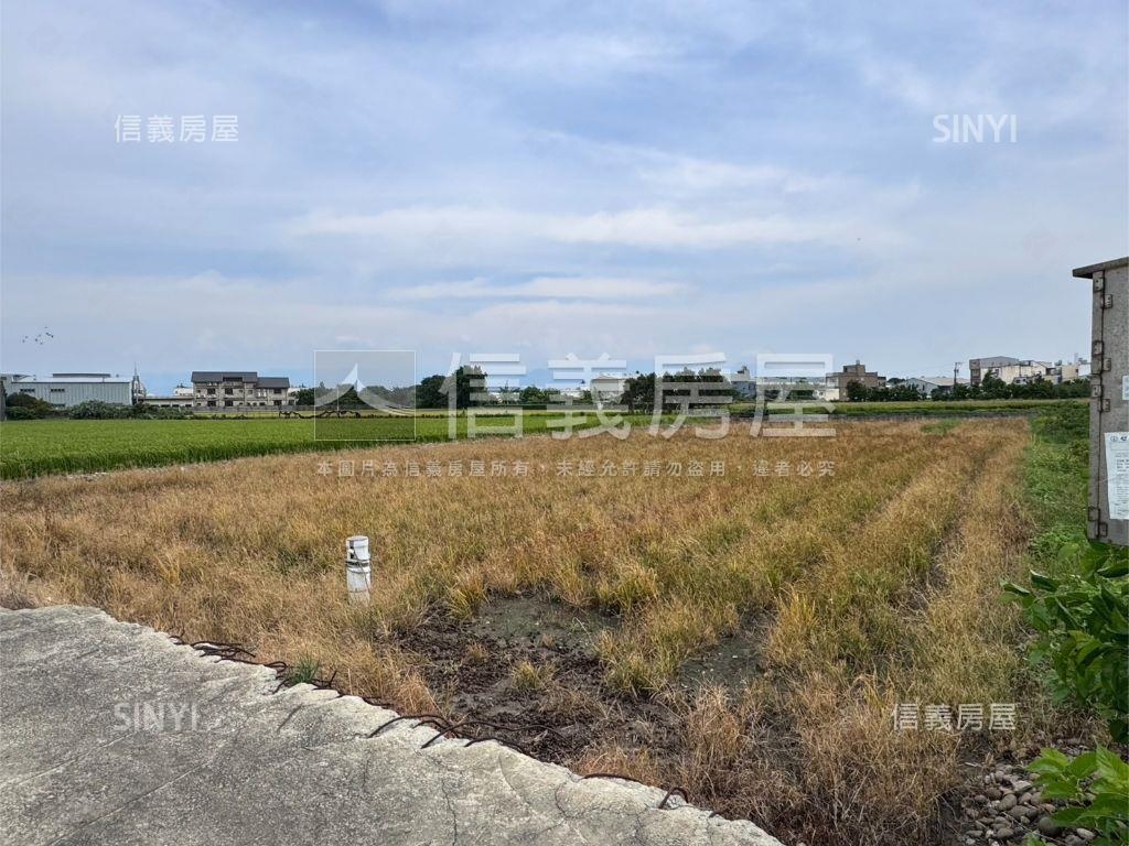 溪洲段農地房屋室內格局與周邊環境