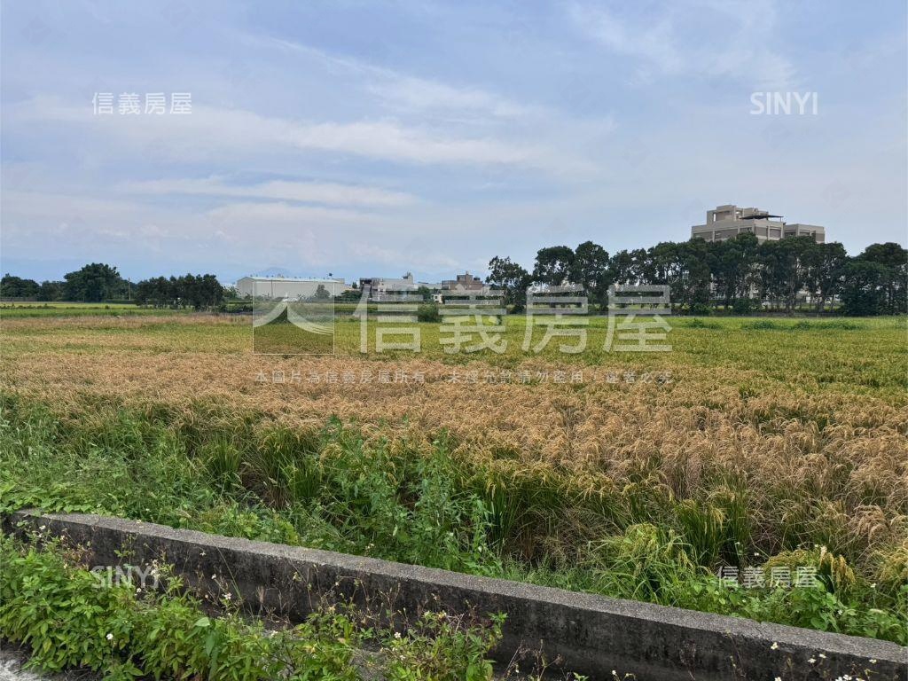溪洲段農地房屋室內格局與周邊環境
