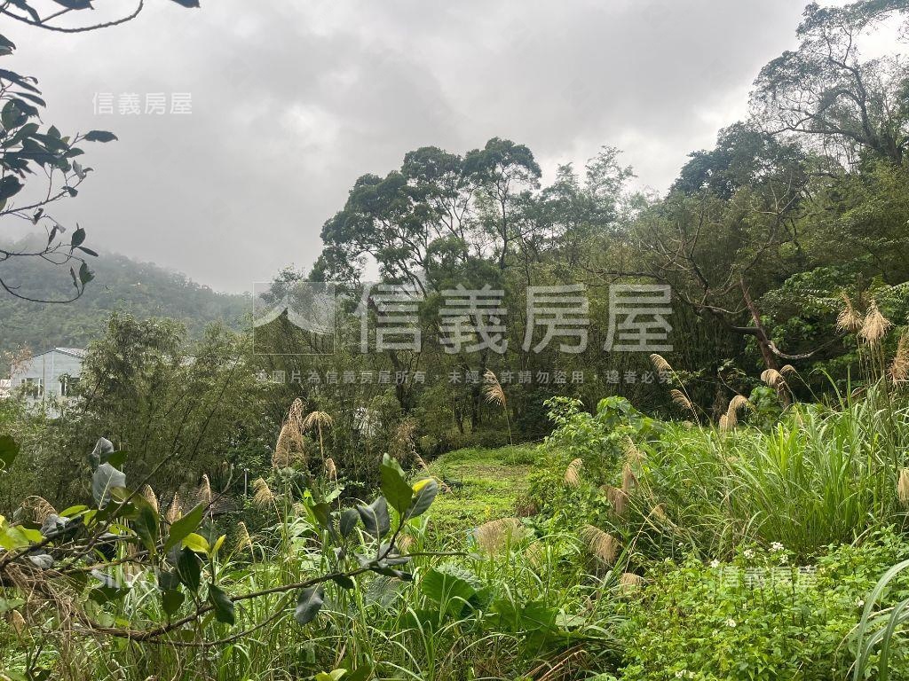 湖子內路旁優質土地房屋室內格局與周邊環境