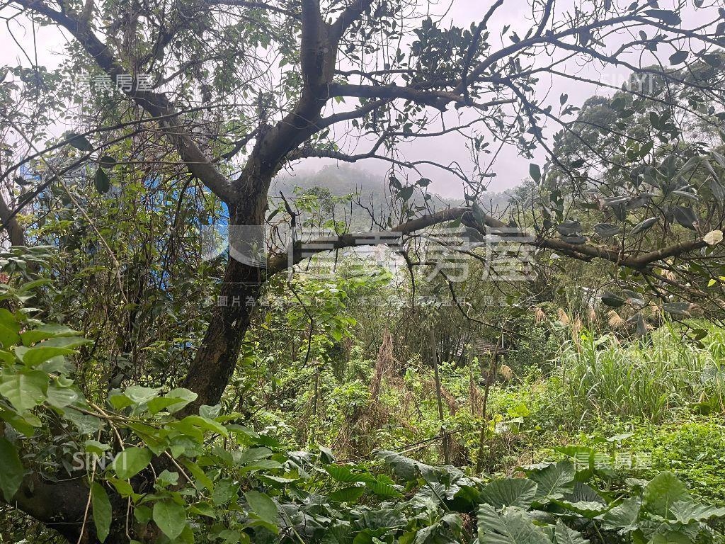 湖子內路旁優質土地房屋室內格局與周邊環境