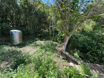 湖子內路旁優質土地