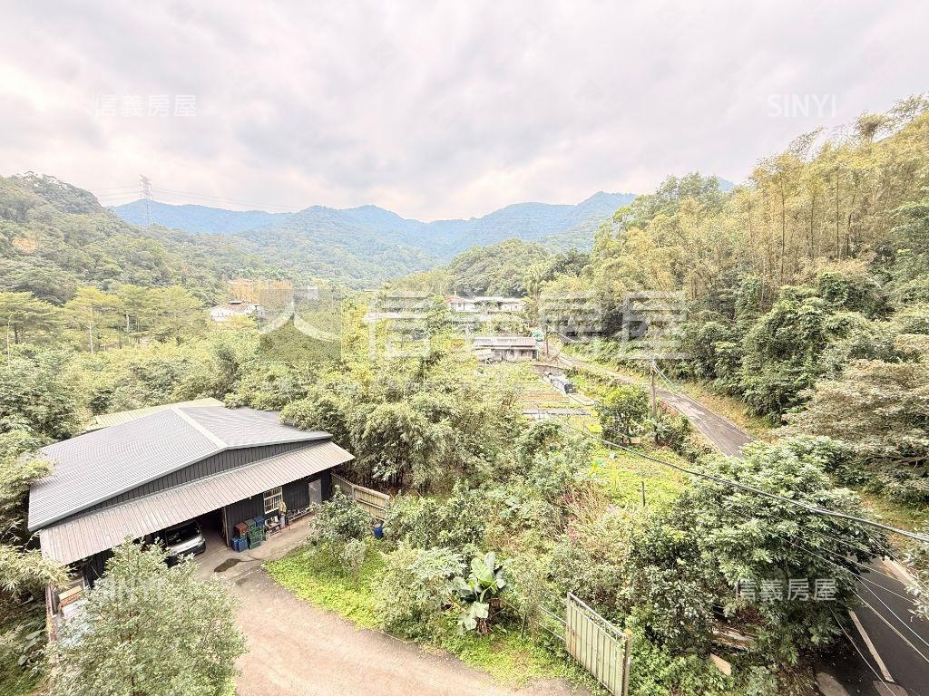 星野之森Ｇ區四房平面車位房屋室內格局與周邊環境