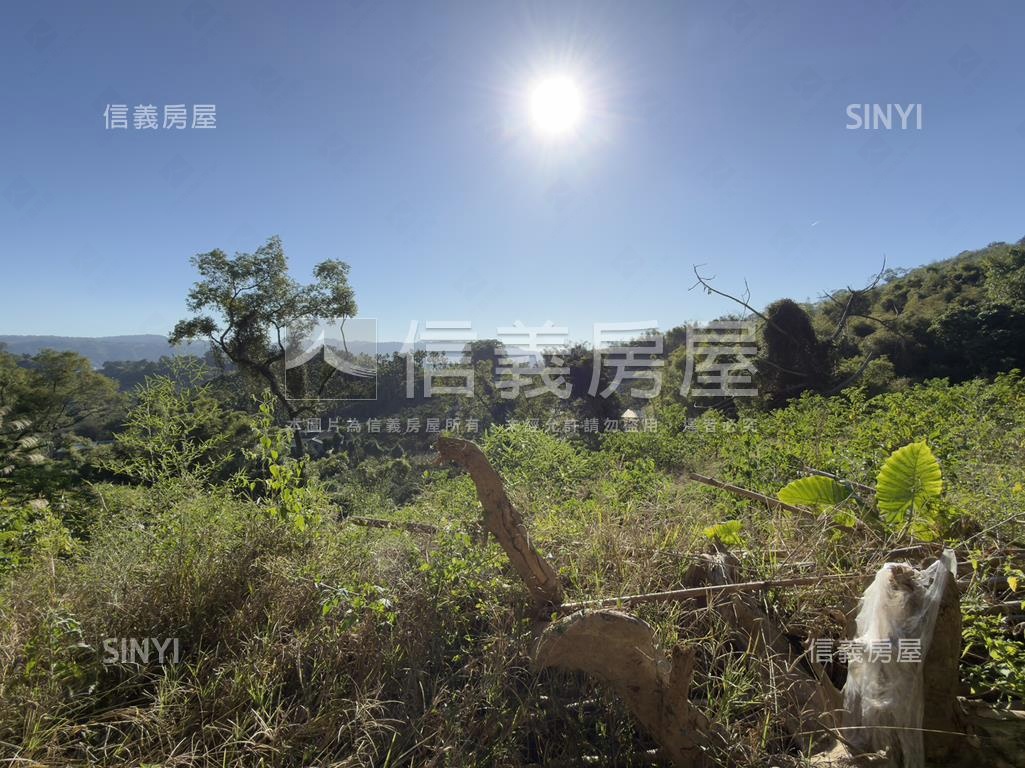 東勢開心農場房屋室內格局與周邊環境