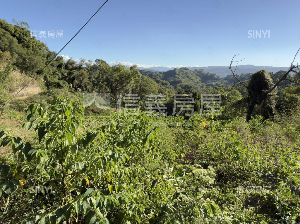 東勢開心農場房屋室內格局與周邊環境