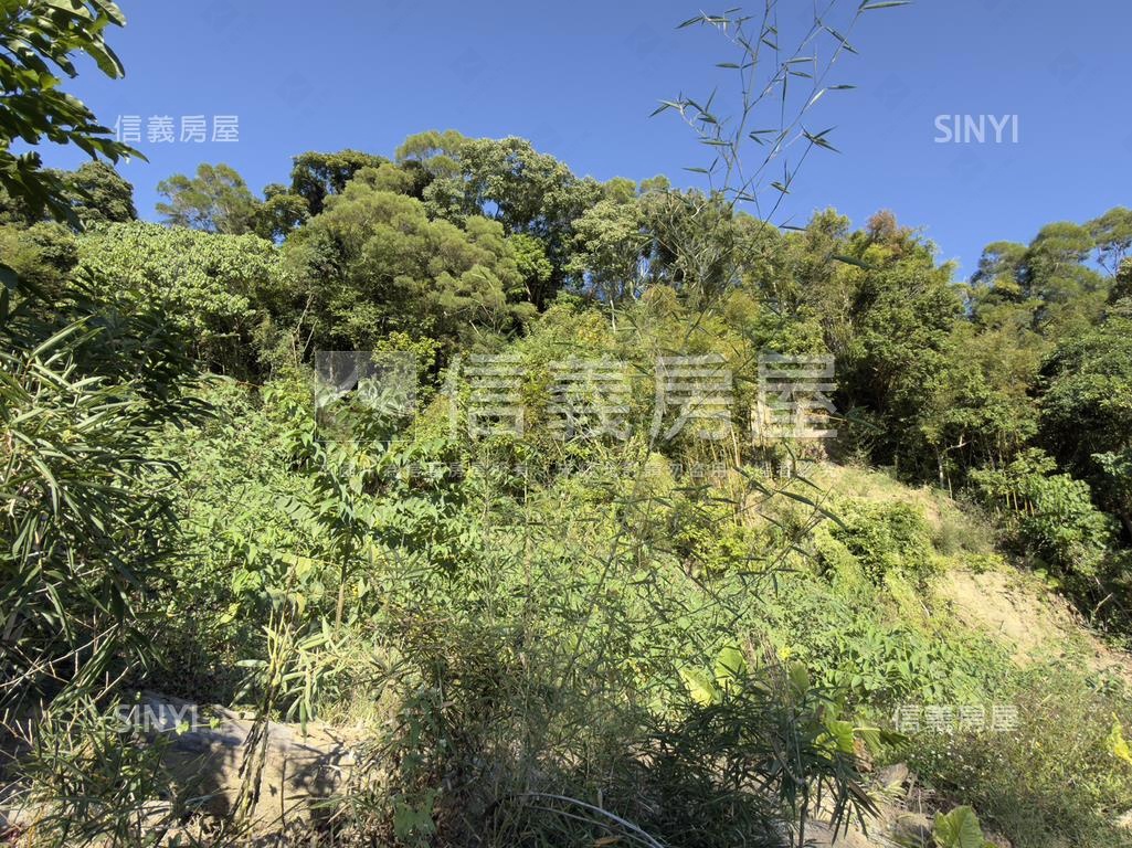 東勢開心農場房屋室內格局與周邊環境