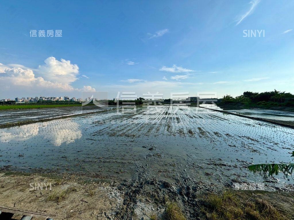 中正西路豐田農地房屋室內格局與周邊環境