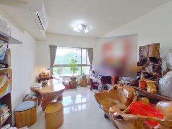 湖悅山景１０１景觀樓中樓