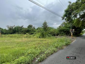 安定中沙段農地