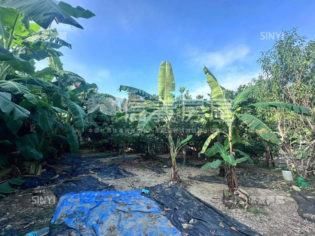 俗！國道旁開心農場房屋室內格局與周邊環境