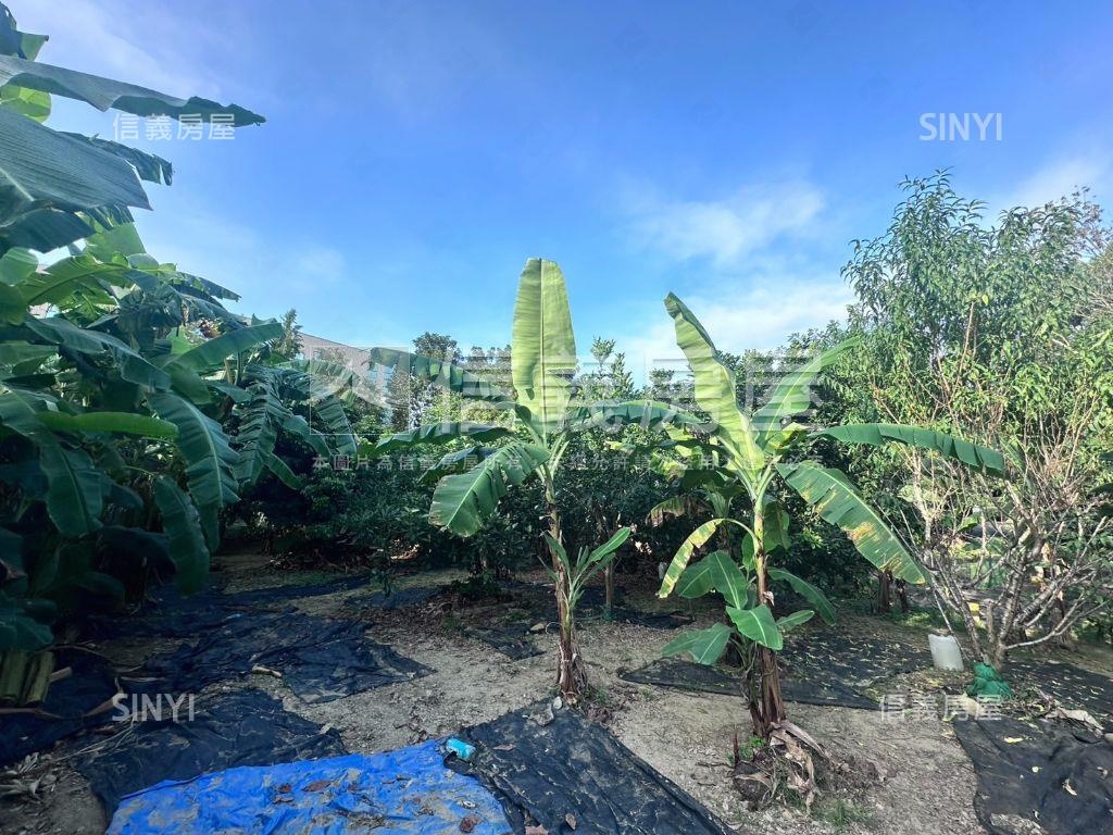 俗！國道旁開心農場房屋室內格局與周邊環境