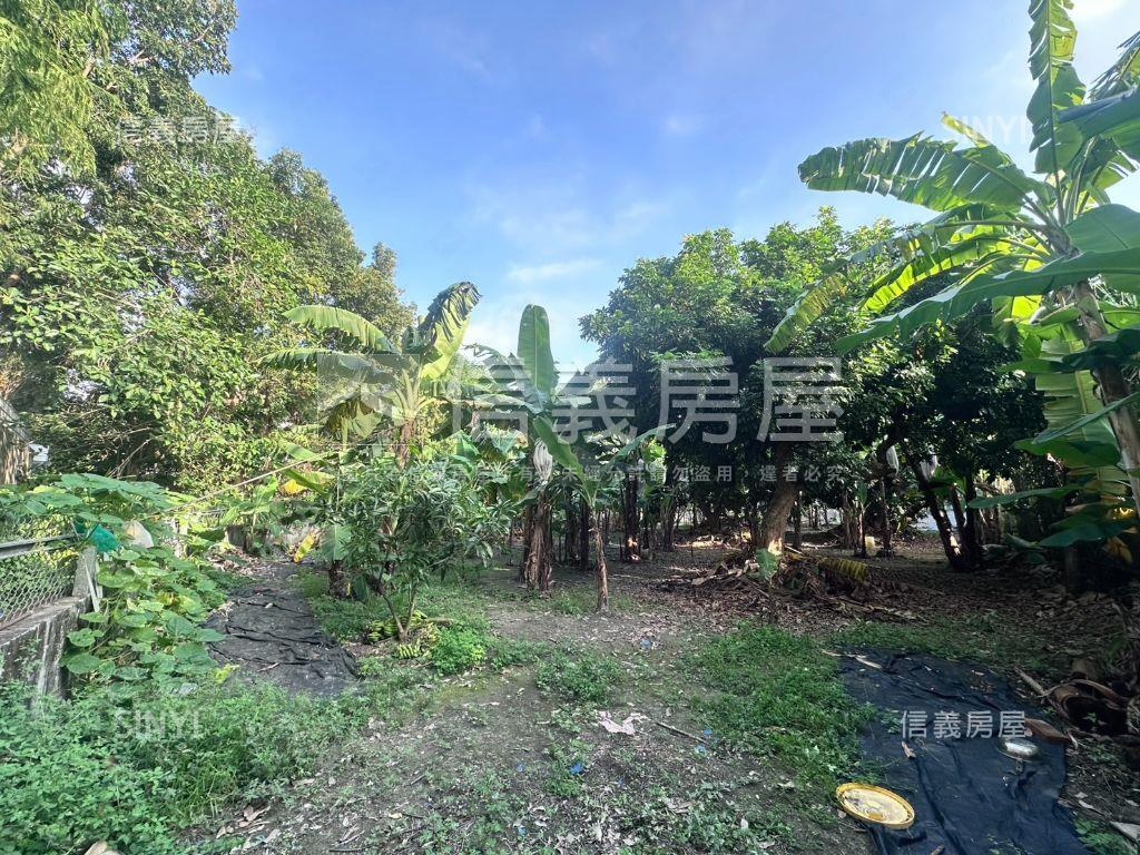 俗！國道旁開心農場房屋室內格局與周邊環境