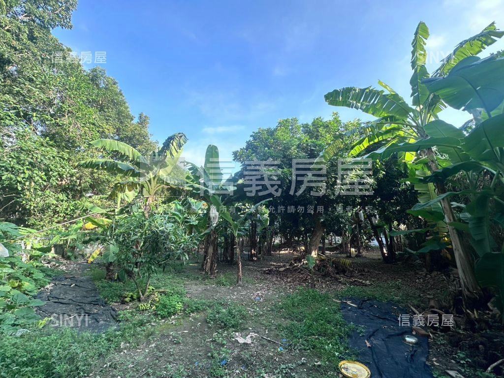 俗！國道旁開心農場房屋室內格局與周邊環境