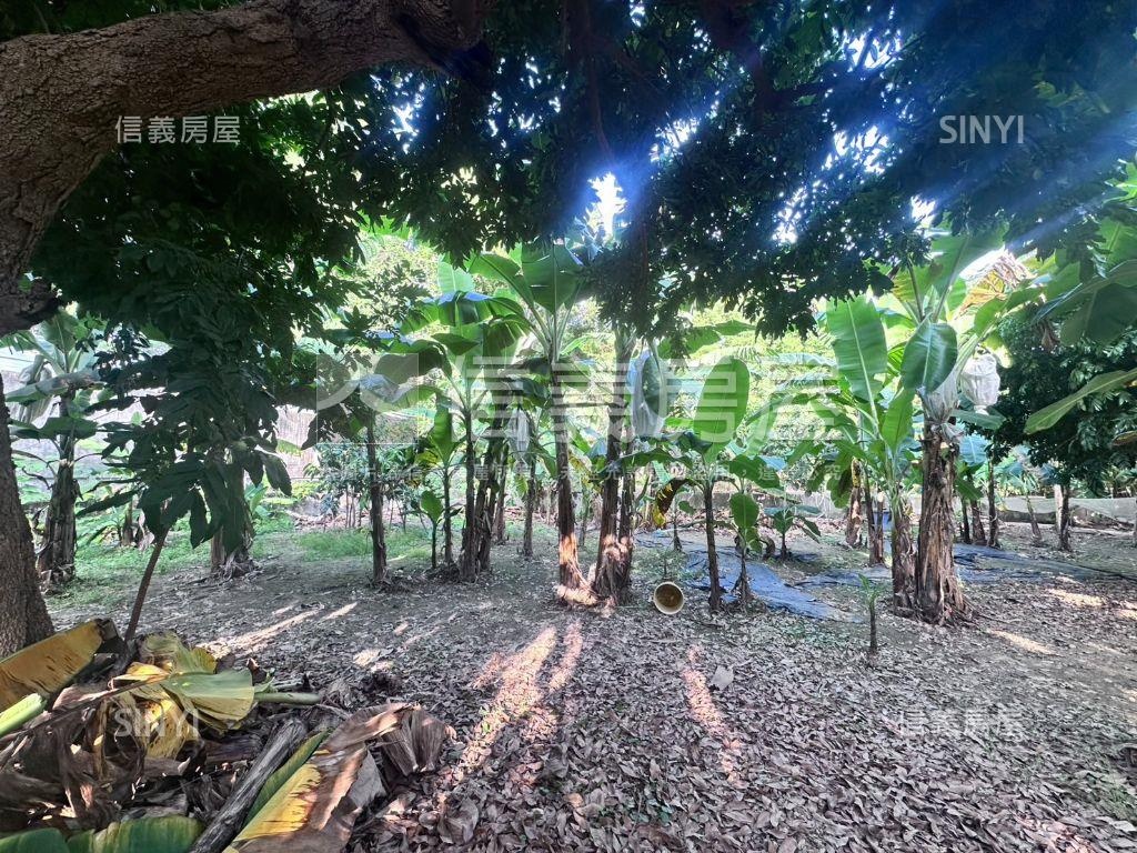 俗！國道旁開心農場房屋室內格局與周邊環境