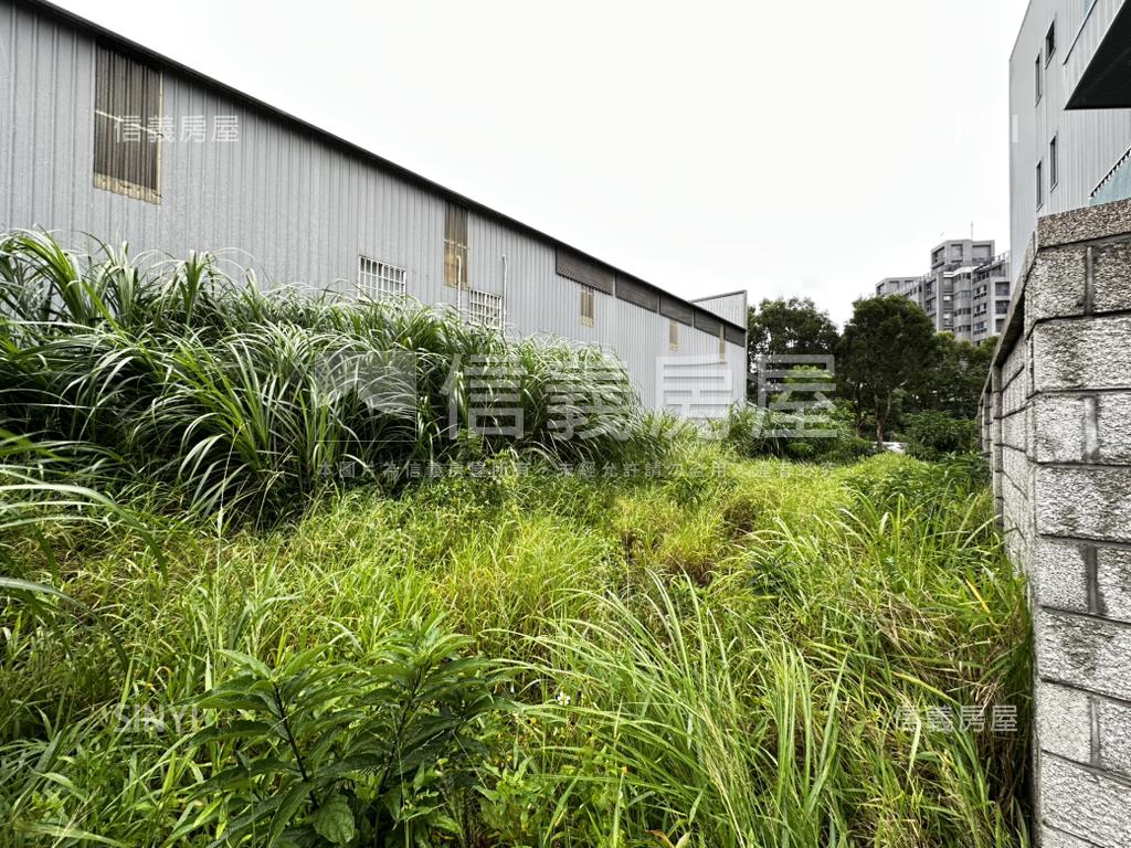 林口重劃區稀有土地房屋室內格局與周邊環境