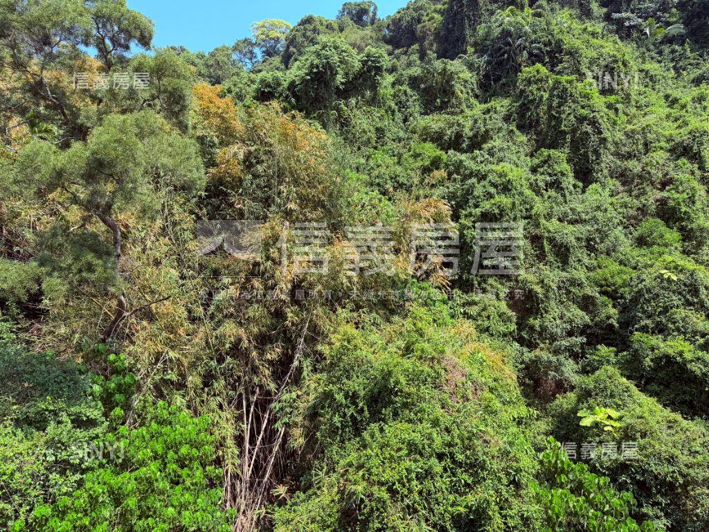 麗山國中綠景溫馨美寓房屋室內格局與周邊環境